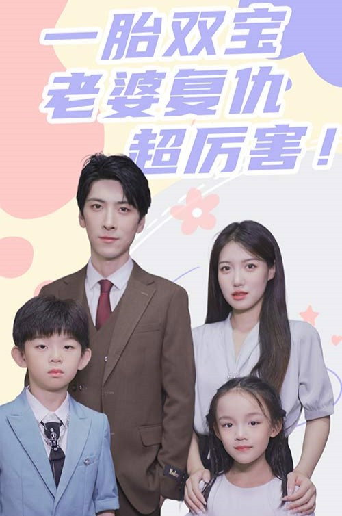 一胎双宝，老婆复仇超厉害！电影海报
