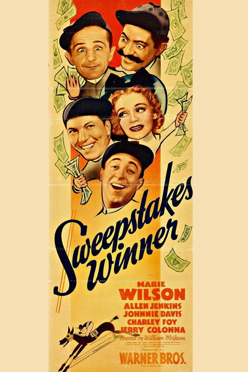 Sweepstakes Winner poster 3
