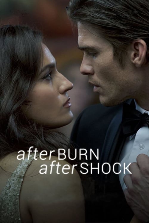 Afterburn/Aftershock (2017) PelículA CompletA 1080p en LATINO espanol Latino