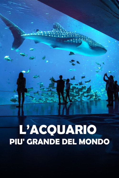 L'acquario pi&ugrave; grande del mondo电影海报