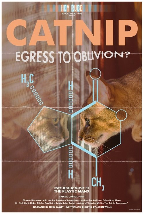 Catnip: Egress to Oblivion? Poster