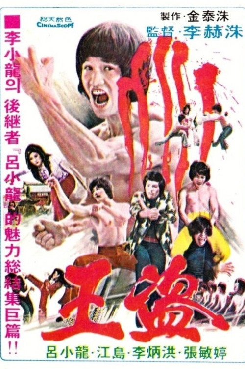 Pi li long quan电影海报