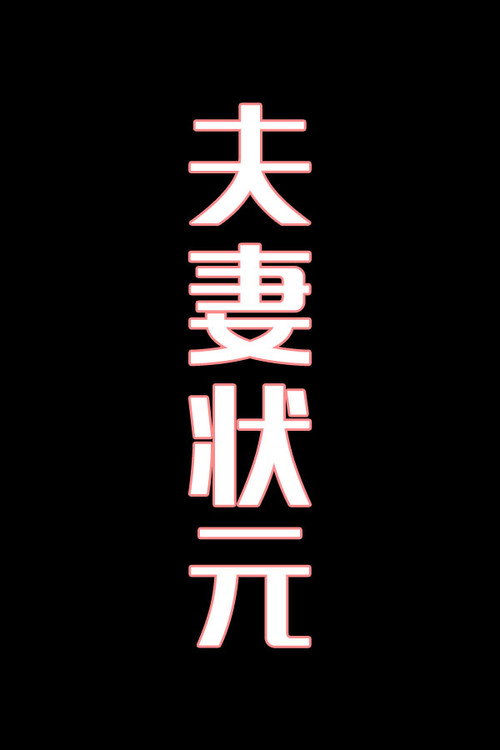 夫妻状元-花鼓戏电影海报