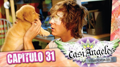 Episode 31: DOG THAT BARKS