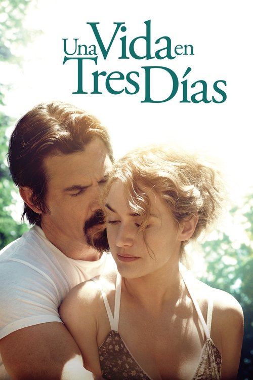 Una vida en tres días Poster