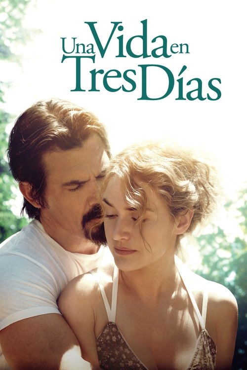 Una vida en tres días (2013) PelículA CompletA 1080p en LATINO espanol Latino