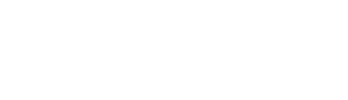 BAAZ: A BIRD IN DANGER Logo
