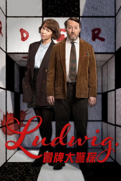谜探路德维希电影海报