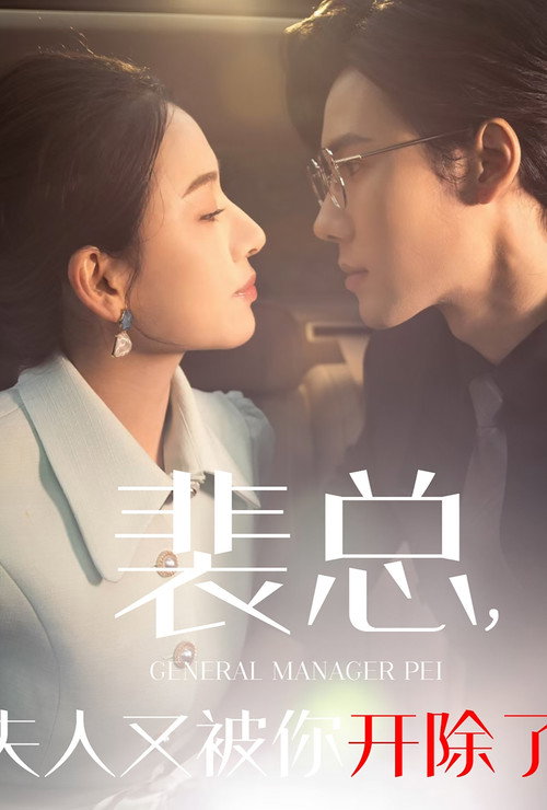 裴总夫人又被你开除了电影海报