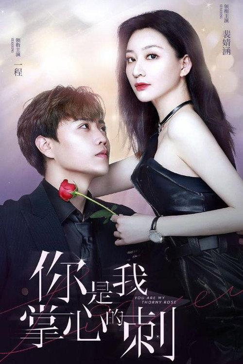 你是我掌心的刺电影海报