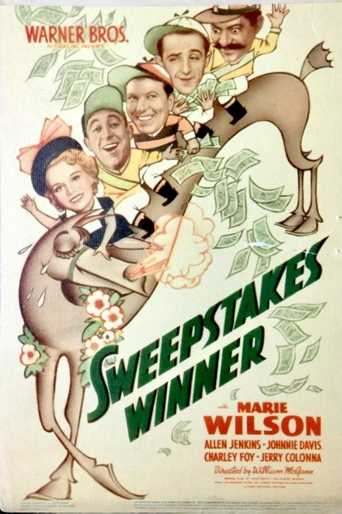 Sweepstakes Winner poster 4