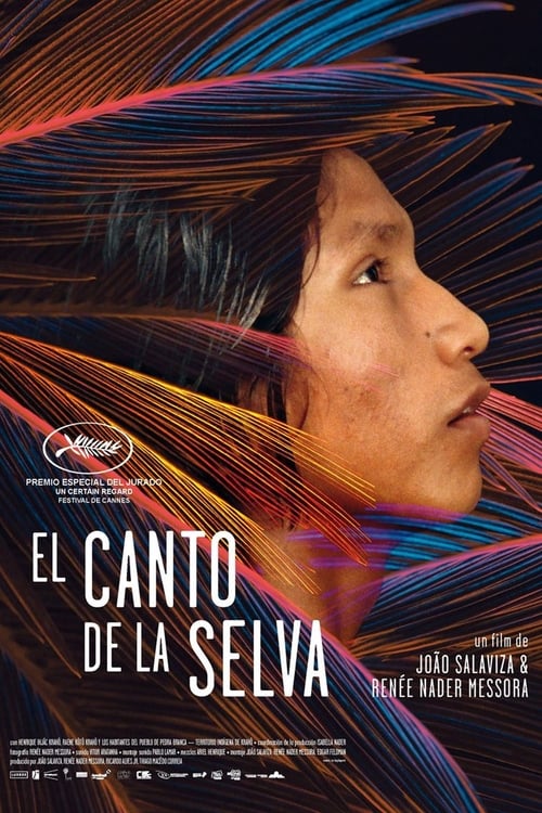 El canto de la selva 2019