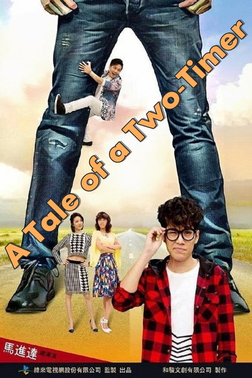 麥呆的劈腿日記 Poster