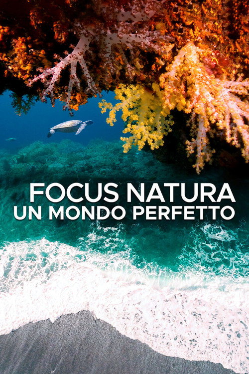 Focus natura - Un mondo perfetto电影海报