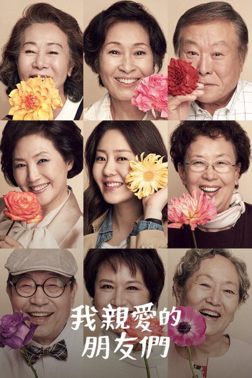 我亲爱的朋友们电影海报