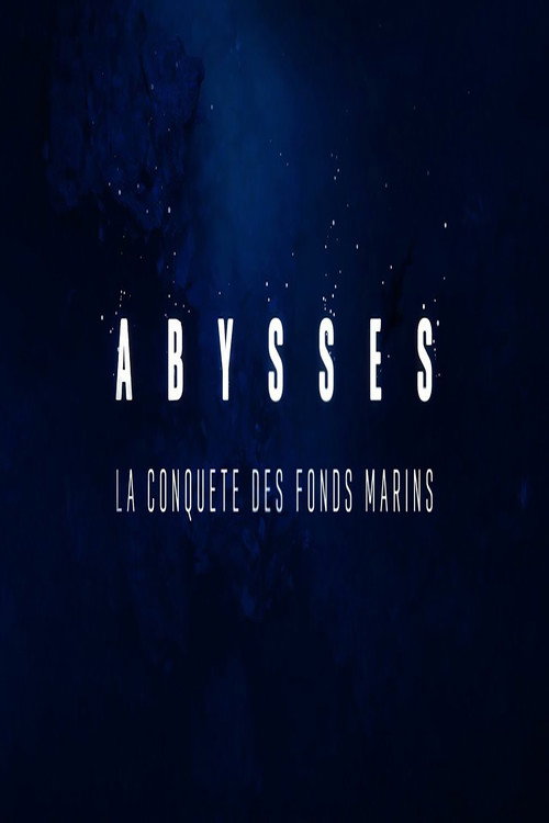 Abysses, la conquête des fonds marins poster 2