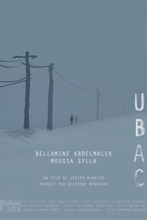 The North Side Poster