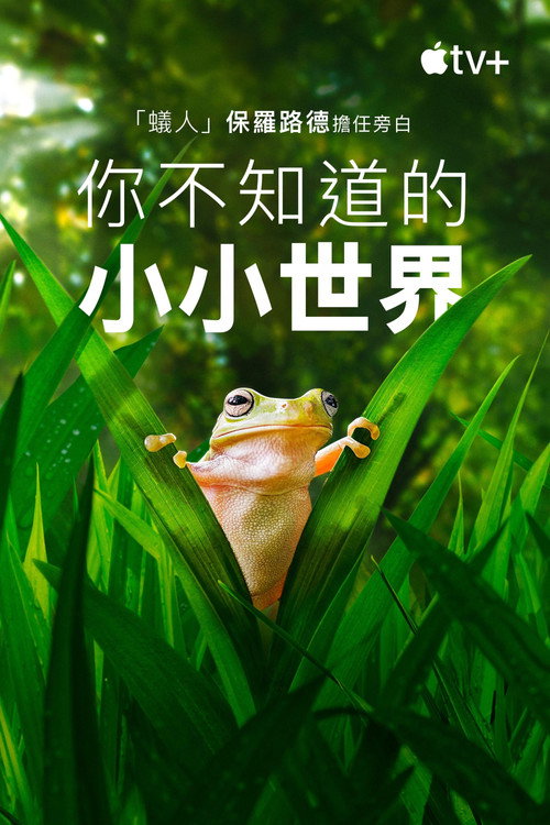 Tiny World电影海报