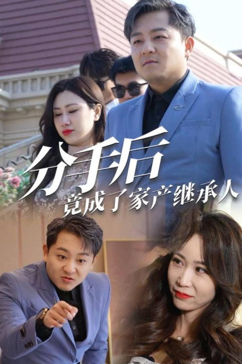 分手后竟成了家产继承人电影海报