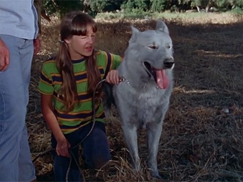 Shazam! - 5. Bölüm