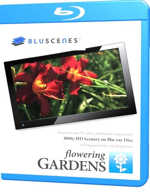 Poster of BluScenes: Flowering Gardens