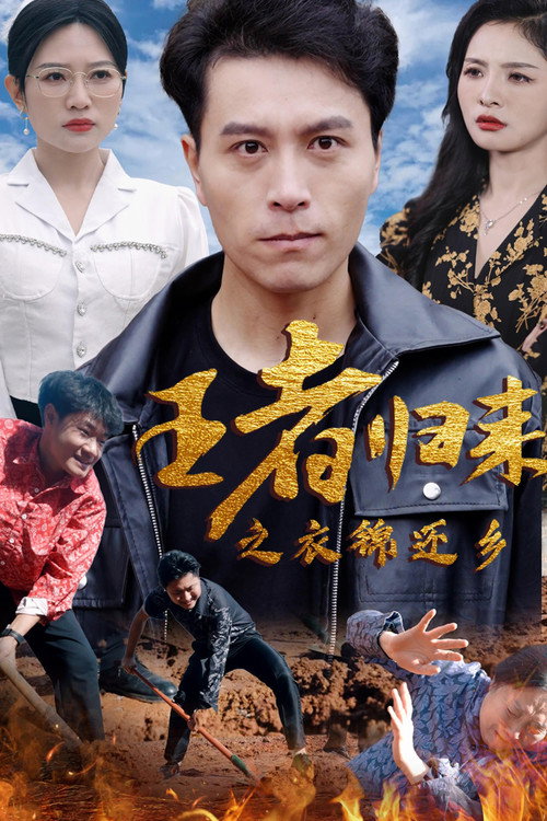 王者归来之衣锦还乡电影海报