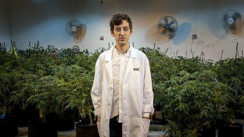 Beating Blindness & White Collar Weed