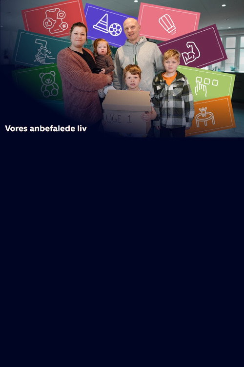 Vores anbefalede liv电影海报