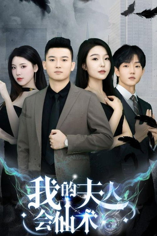 我的夫人会仙术电影海报