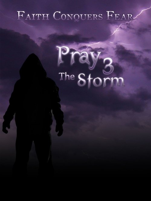 Pray 3D: The Storm Poster