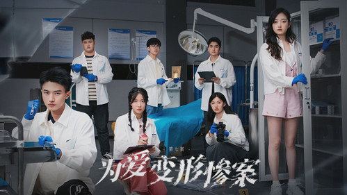 初入职场法医季2第14集