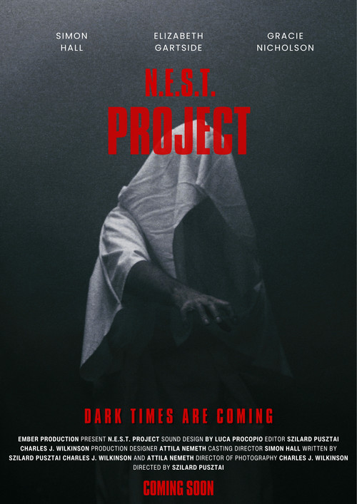 The Eight Saga:N.E.S.T.Project Poster