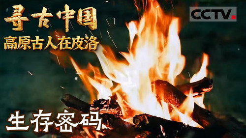 Episode 27