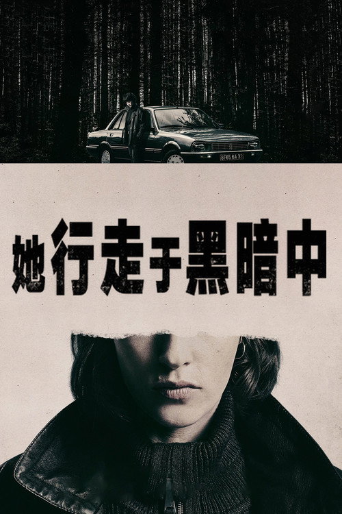 她行走于黑暗中电影海报