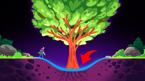 Trees Are Even More Crazy Than We Thought