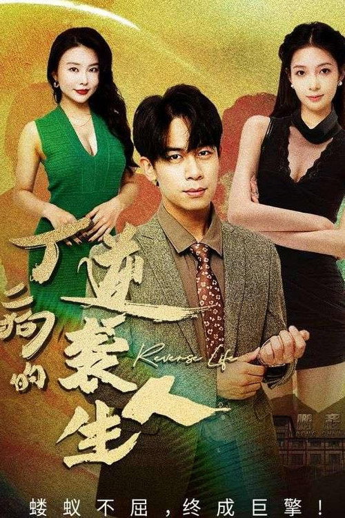 丁二狗的逆袭人生电影海报