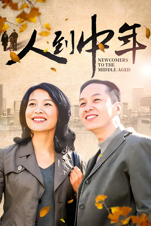 人到中年 poster 1