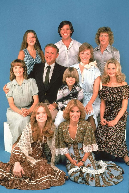 Eight Is Enough: A Family Reunion poster 2