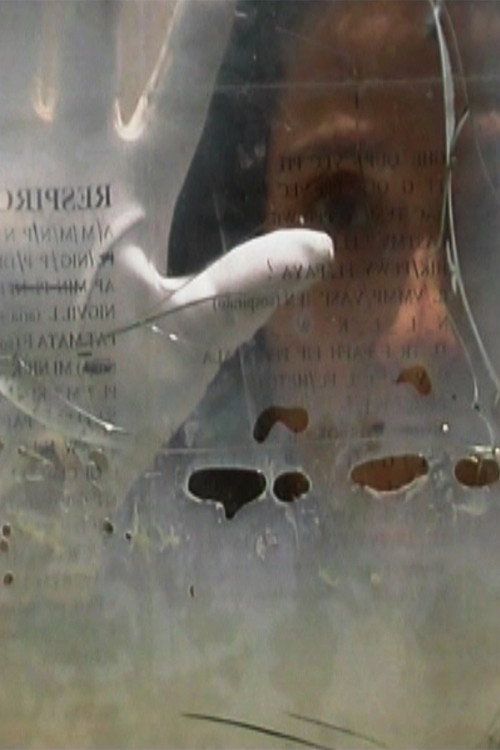 TRAGEDIA ENDOGONIDIA - A.#02 AVIGNON电影海报