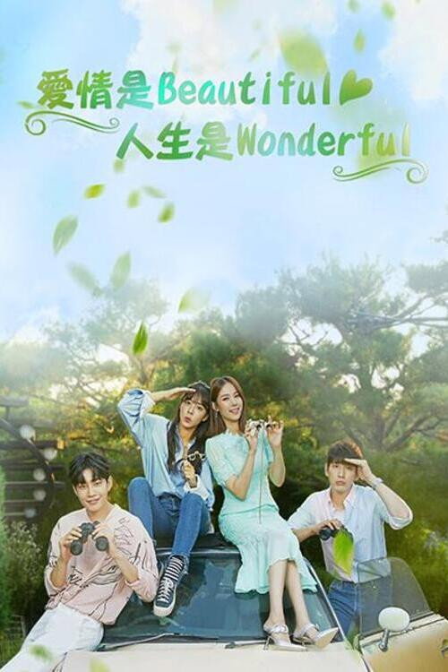 美丽爱情完美人生电影海报