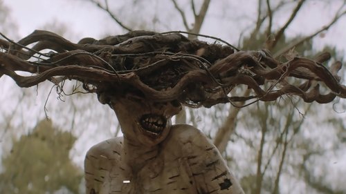 The Birch (2016) Watch Stream