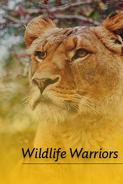 Wildlife Warriors电影海报