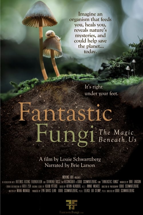 Fantastic Fungi (2018) PelículA CompletA 1080p en LATINO espanol Latino