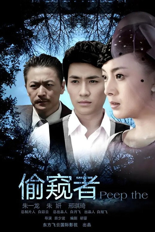 偷窥者 poster 2