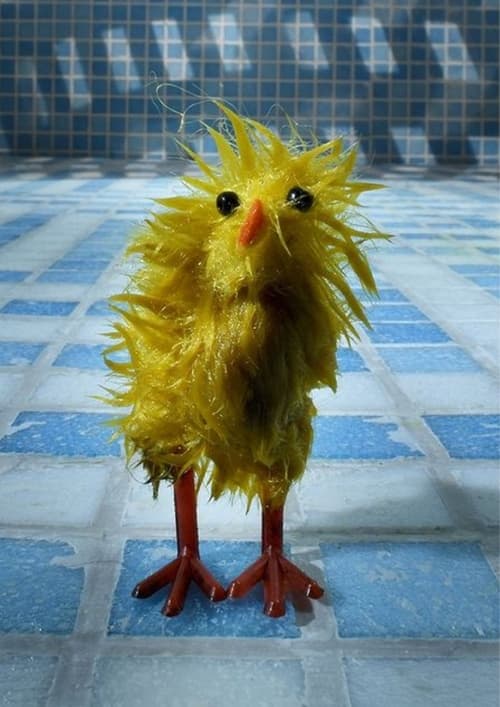 Chick+Wash