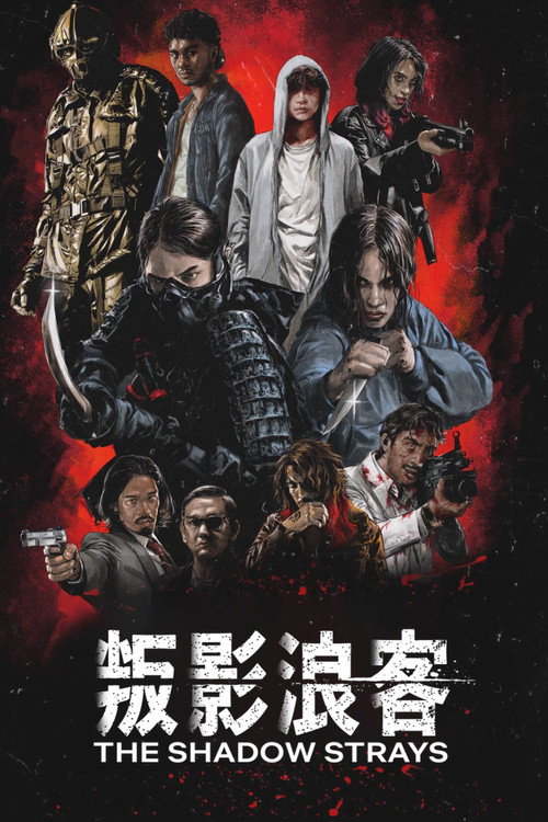 叛影浪客电影海报