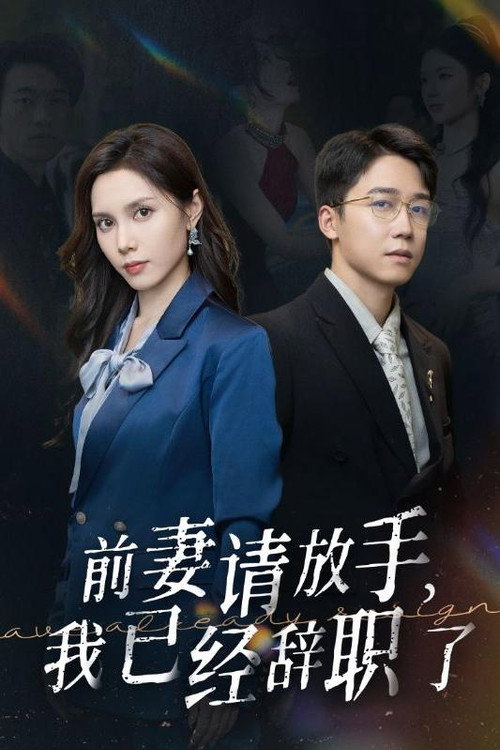 前妻请放手，我已经辞职了电影海报