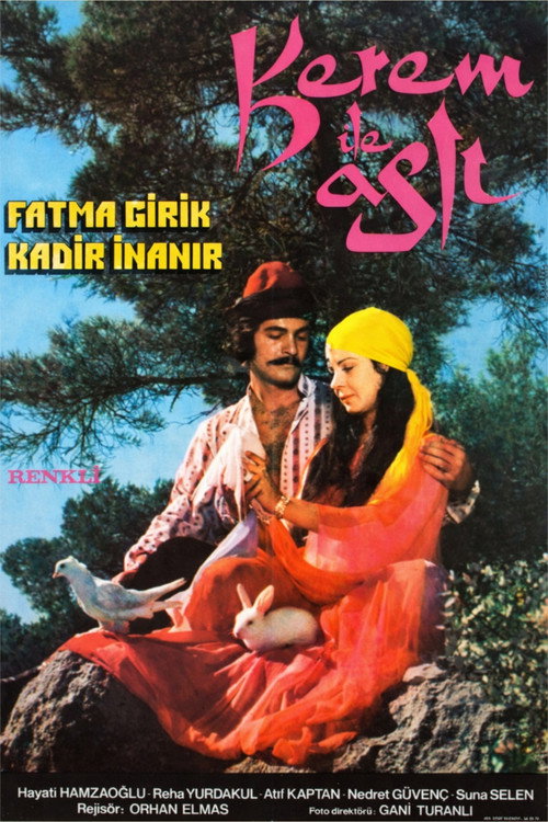 Kerem ile Aslı电影海报