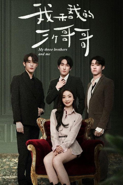 我和我的三个哥哥电影海报