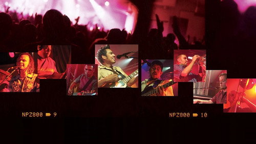 Backdrop